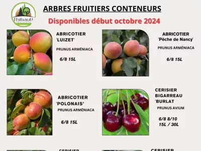 Catalogue d’Arbres Fruitiers conteneur 2024